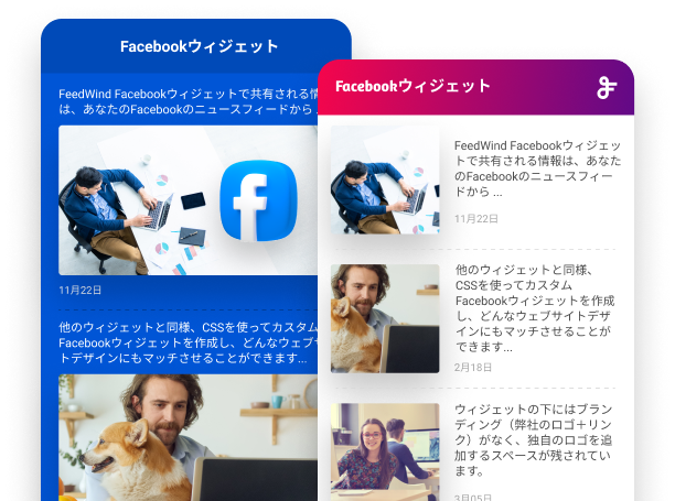 facebook widget sample